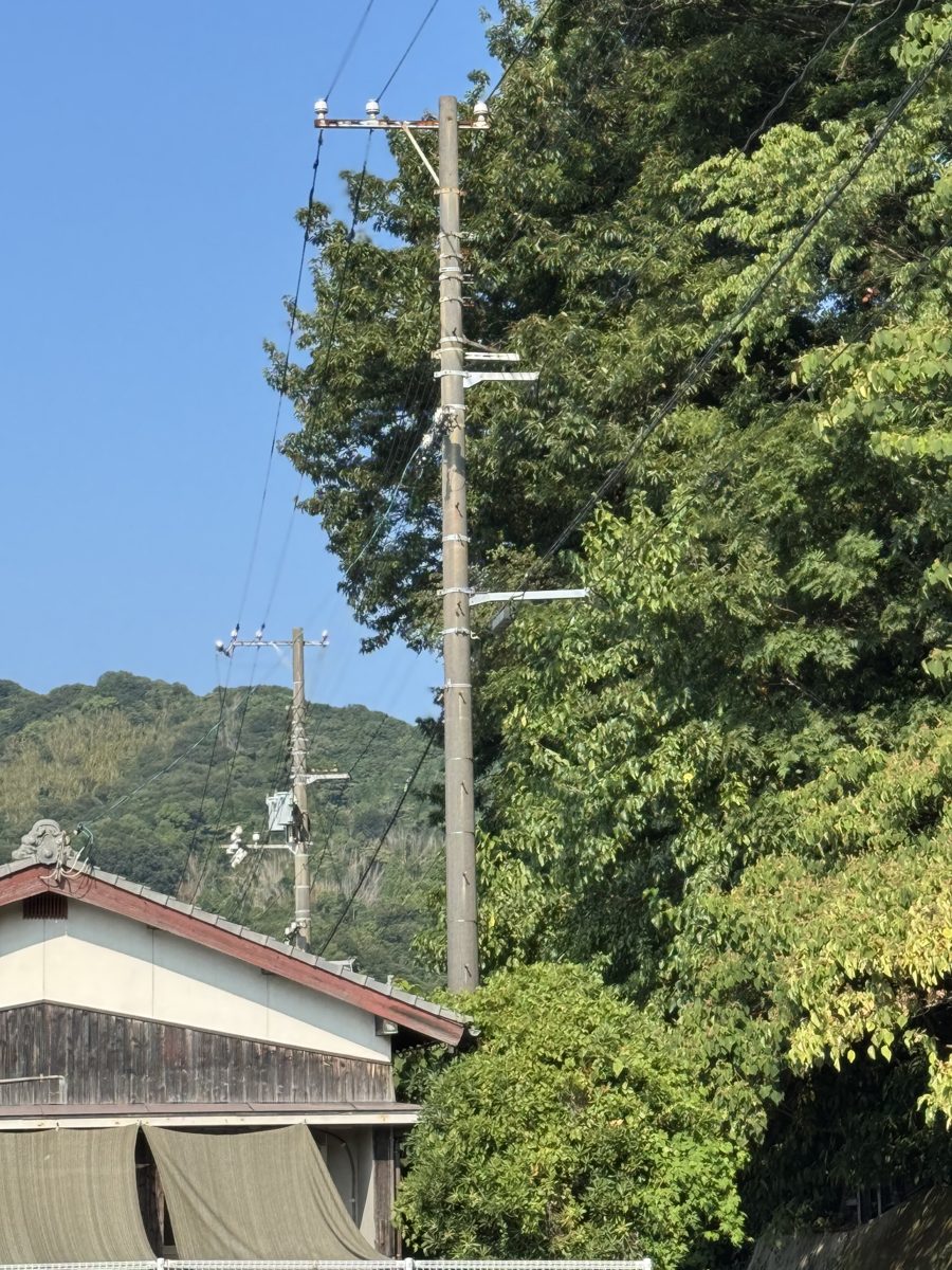 コンクリート柱を下から見上げた写真。灰色の円柱形の柱が上へ少しすぼまりながら伸び、上部に腕金とがいし、電線が見える
