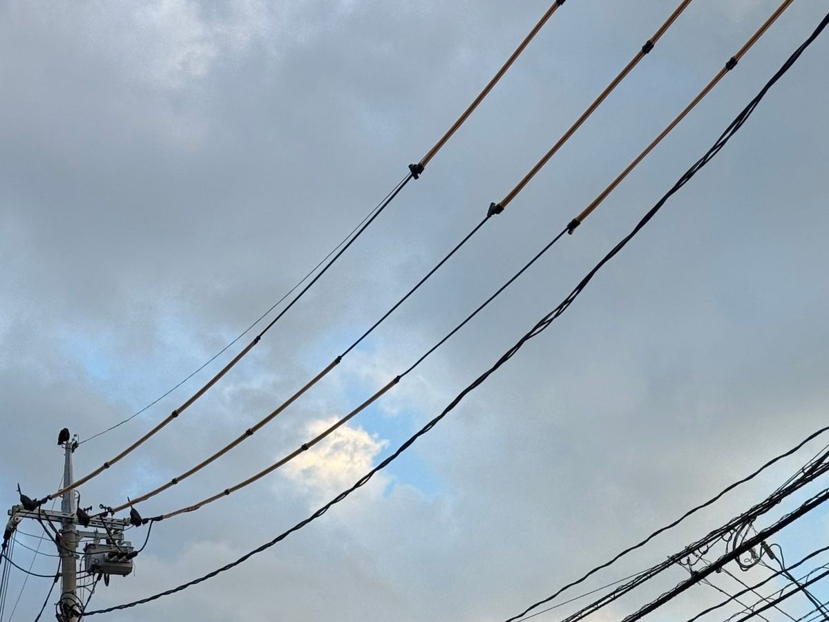 曇り空を背に、左下の電柱の上のほうから右上へ伸びる3本の電線を見上げた写真。3本とも、黄色っぽい筒状のカバーが黒いつなぎ目ごとに連なってかぶせられていて、途中にはカバーのない黒い部分もある。電柱のてっぺんと腕金には黒い鳥が何羽かとまっている
